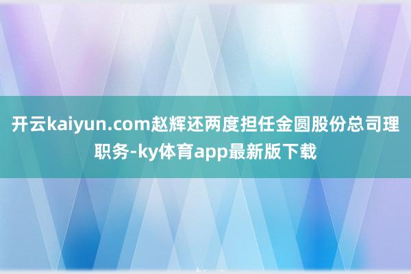 开云kaiyun.com赵辉还两度担任金圆股份总司理职务-ky体育app最新版下载