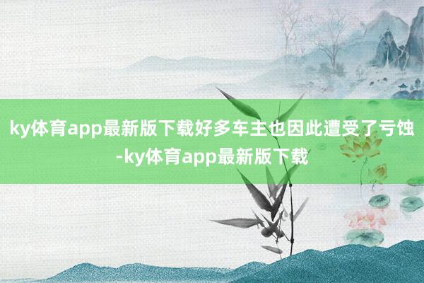 ky体育app最新版下载好多车主也因此遭受了亏蚀-ky体育app最新版下载