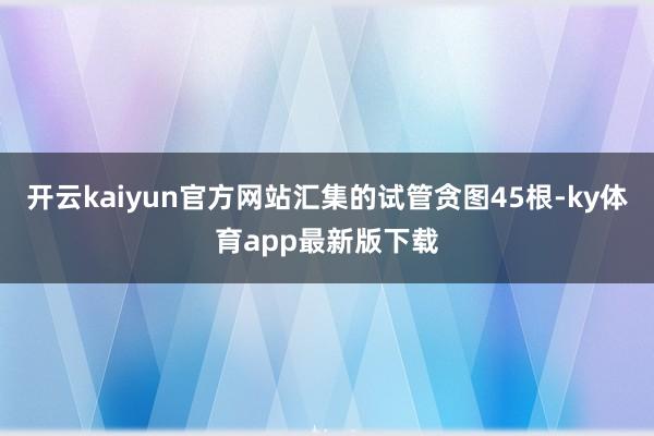 开云kaiyun官方网站汇集的试管贪图45根-ky体育app最新版下载
