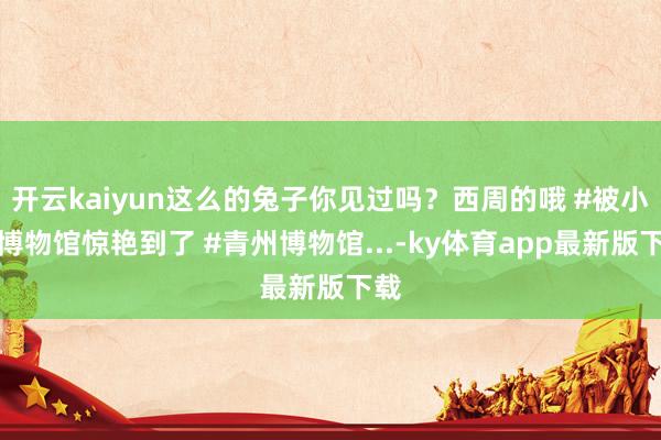 开云kaiyun这么的兔子你见过吗？西周的哦 #被小城博物馆惊艳到了 #青州博物馆...-ky体育app最新版下载