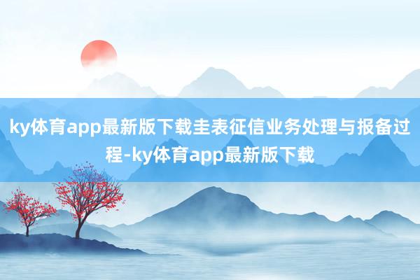 ky体育app最新版下载圭表征信业务处理与报备过程-ky体育app最新版下载