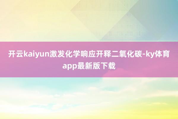 开云kaiyun激发化学响应开释二氧化碳-ky体育app最新版下载