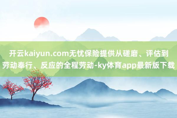 开云kaiyun.com无忧保险提供从磋磨、评估到劳动奉行、反应的全程劳动-ky体育app最新版下载