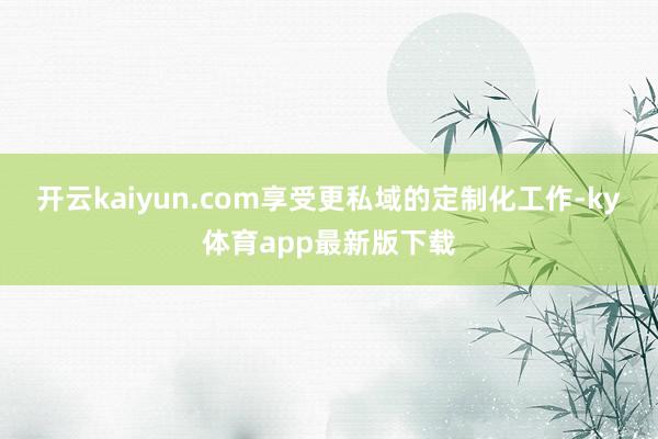 开云kaiyun.com享受更私域的定制化工作-ky体育app最新版下载