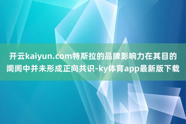 开云kaiyun.com特斯拉的品牌影响力在其目的阛阓中并未形成正向共识-ky体育app最新版下载