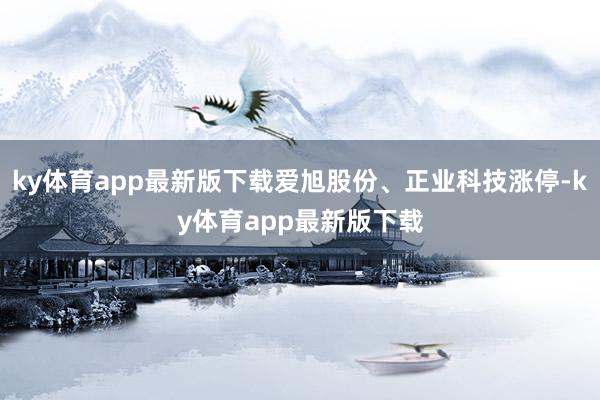 ky体育app最新版下载爱旭股份、正业科技涨停-ky体育app最新版下载
