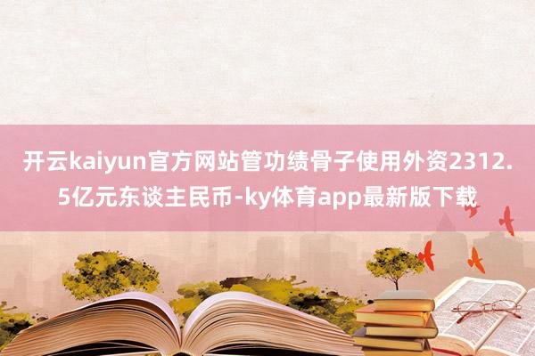 开云kaiyun官方网站管功绩骨子使用外资2312.5亿元东谈主民币-ky体育app最新版下载