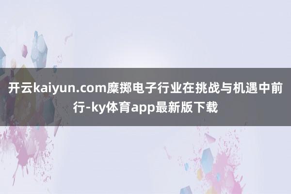 开云kaiyun.com糜掷电子行业在挑战与机遇中前行-ky体育app最新版下载