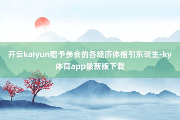 开云kaiyun赠予参会的各经济体指引东谈主-ky体育app最新版下载